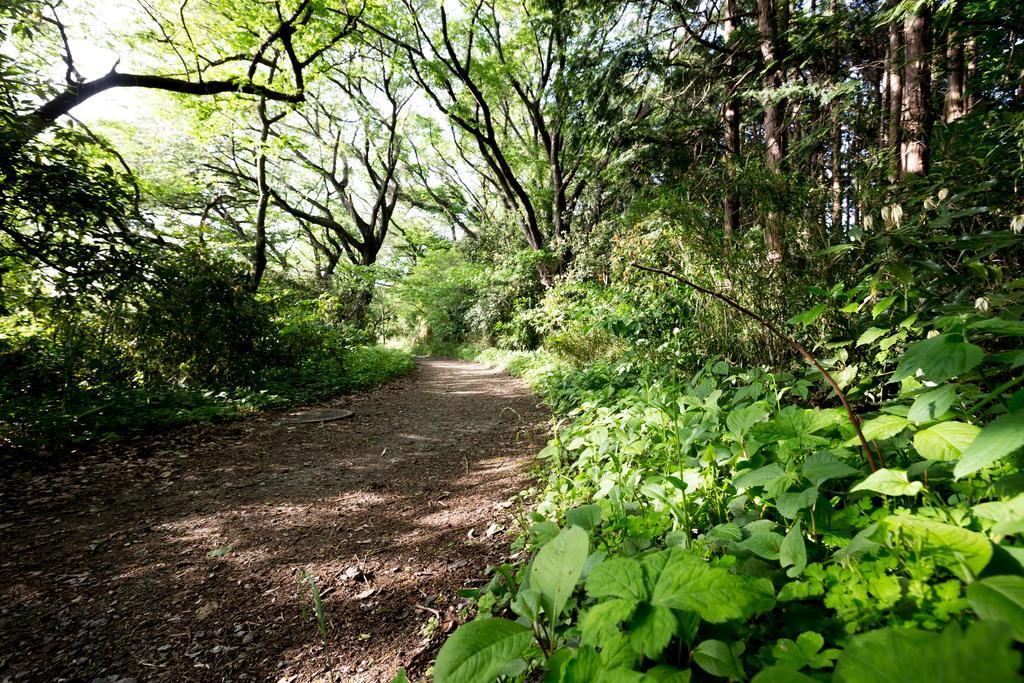 The Canvas Hayama Park מראה חיצוני תמונה